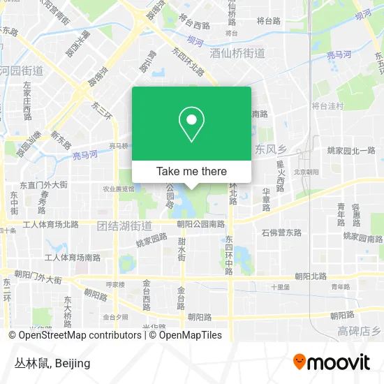 丛林鼠 map