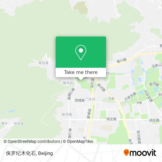 侏罗纪木化石 map