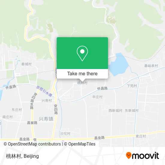 桃林村 map