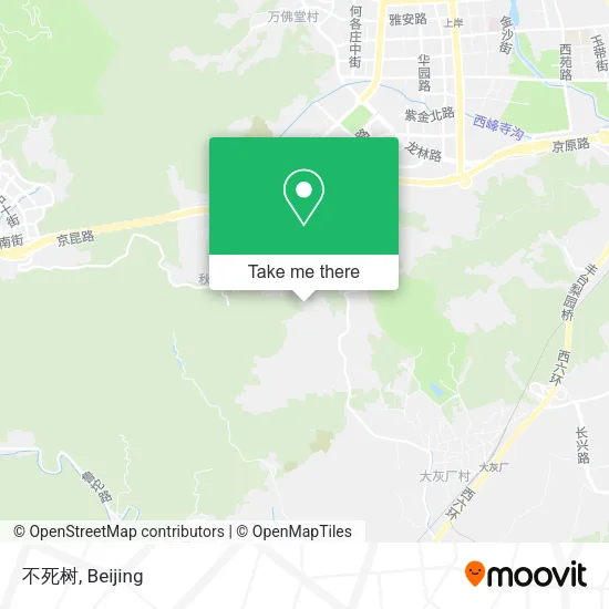 不死树 map
