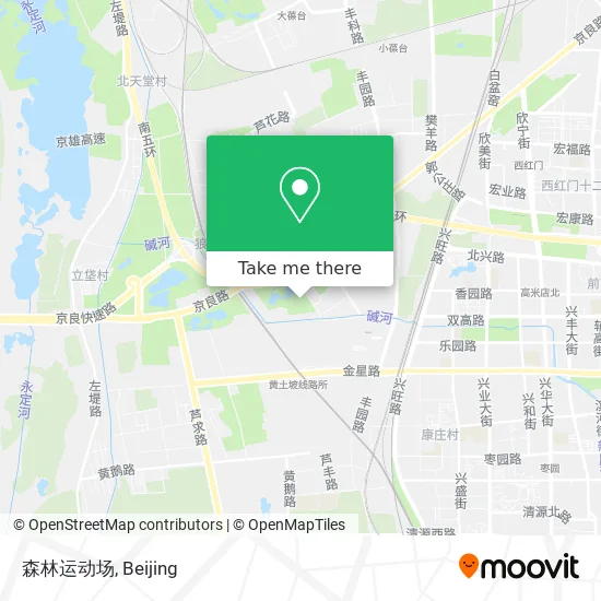 森林运动场 map
