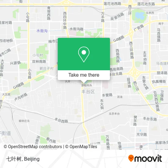 七叶树 map