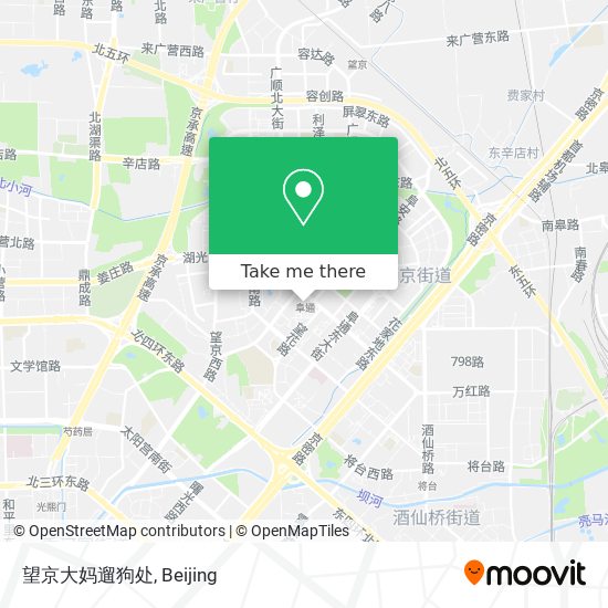 望京大妈遛狗处 map