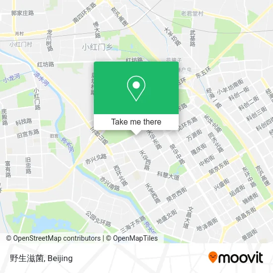 野生滋菌 map