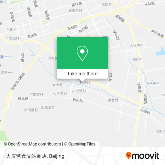 大皮营食品站商店 map