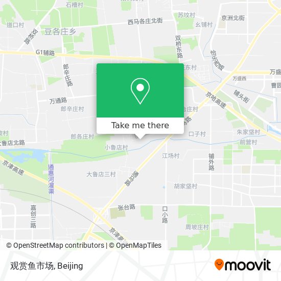 观赏鱼市场 map