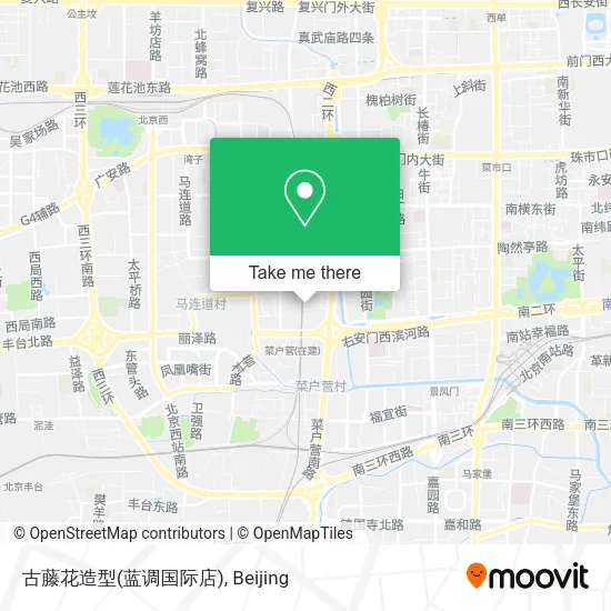 古藤花造型(蓝调国际店) map