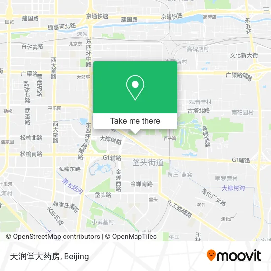 天润堂大药房 map