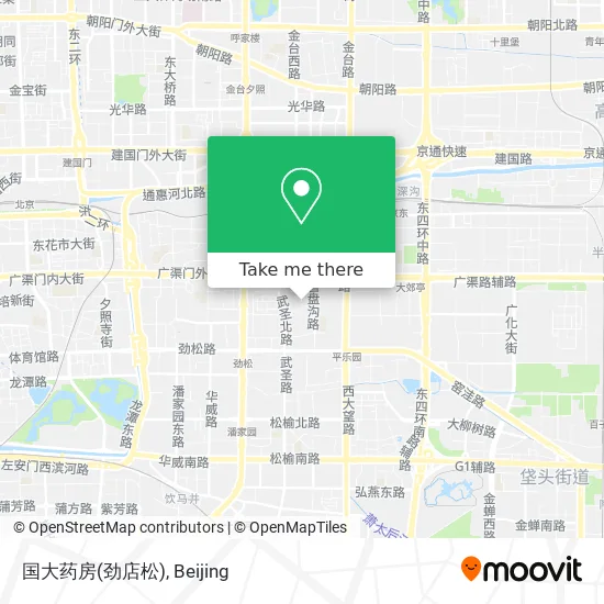 国大药房(劲店松) map