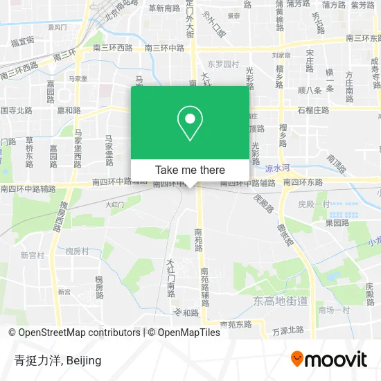 青挺力洋 map