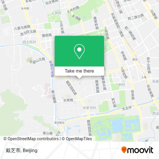 戴芝蒂 map