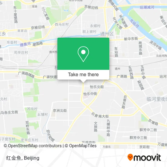 红金鱼 map