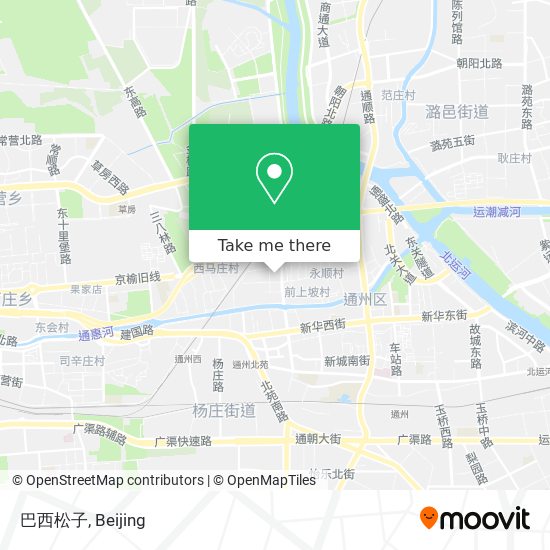 巴西松子 map