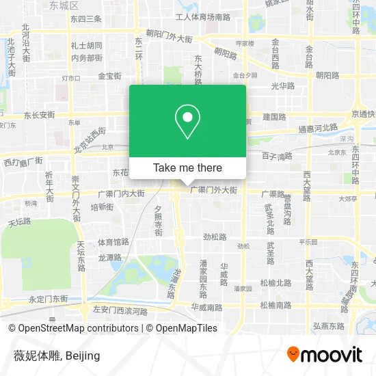 薇妮体雕 map