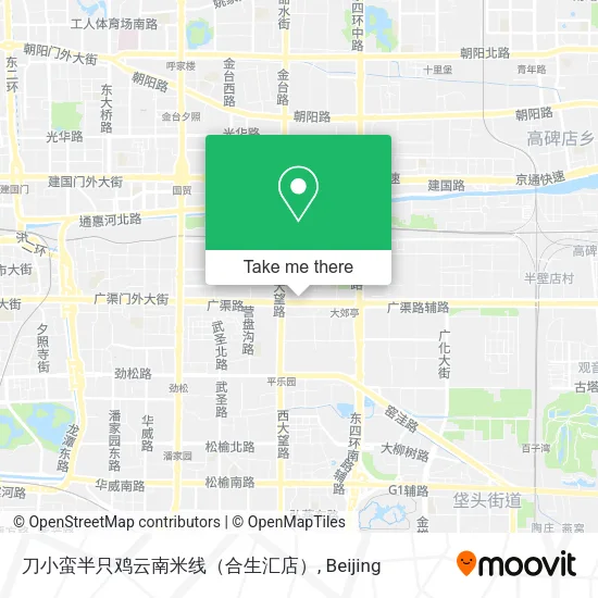 刀小蛮半只鸡云南米线（合生汇店） map