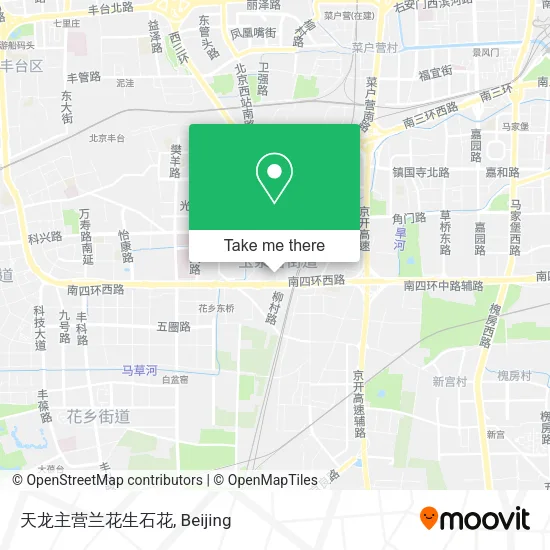 天龙主营兰花生石花 map