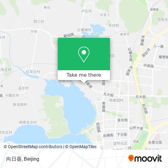向日葵 map