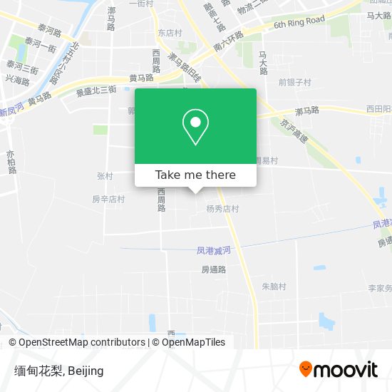 缅甸花梨 map