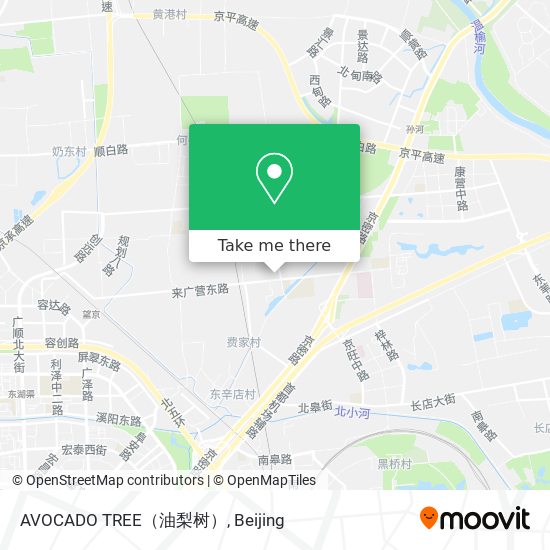 AVOCADO TREE（油梨树） map
