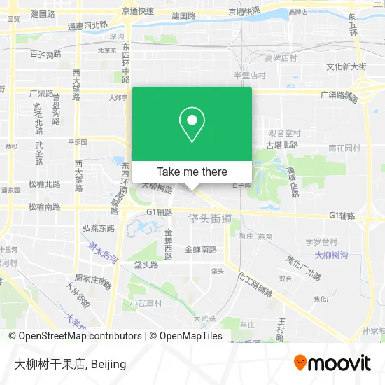 大柳树干果店 map