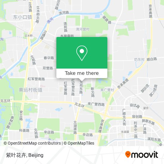 紫叶花卉 map