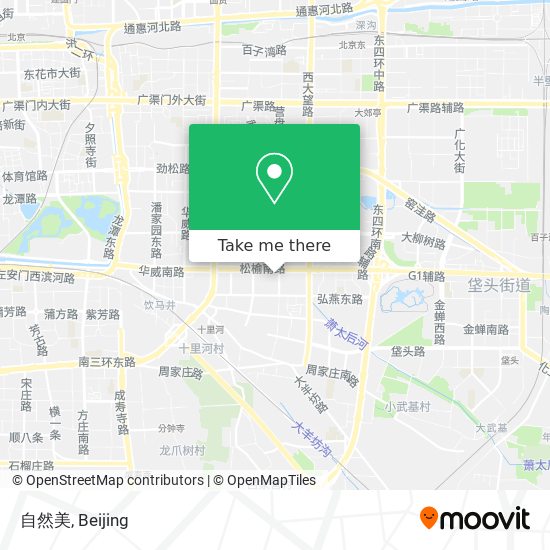 自然美 map
