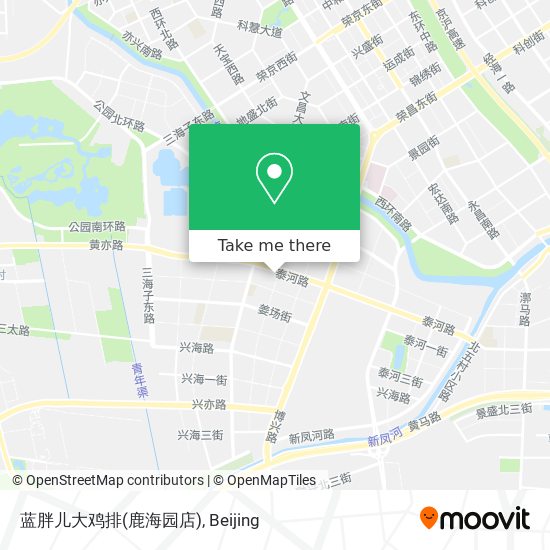 蓝胖儿大鸡排(鹿海园店) map