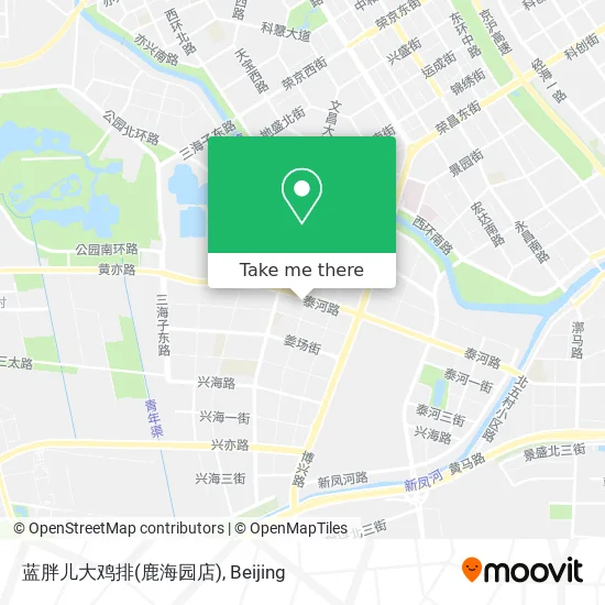 蓝胖儿大鸡排(鹿海园店) map