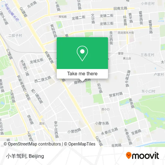 小羊驾到 map