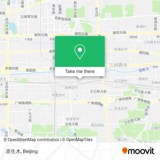 原生木 map