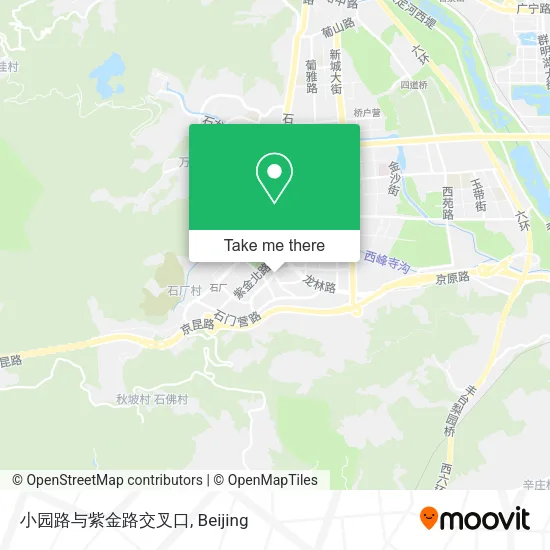 小园路与紫金路交叉口 map