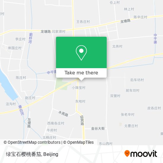 绿宝石樱桃番茄 map