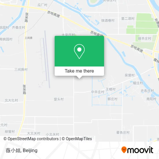 薇小姐 map