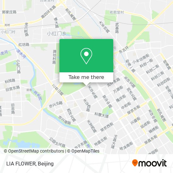 LIA FLOWER map