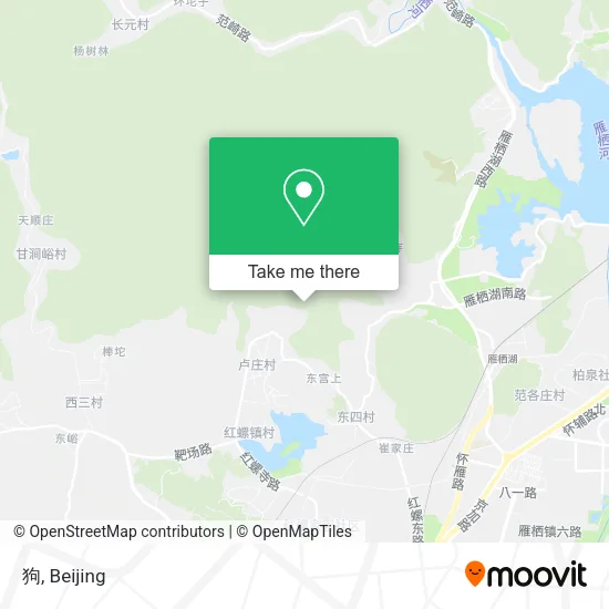狗 map