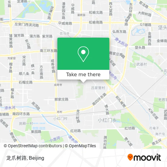 龙爪树路 map