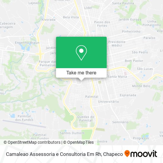 Camaleao Assessoria e Consultoria Em Rh map