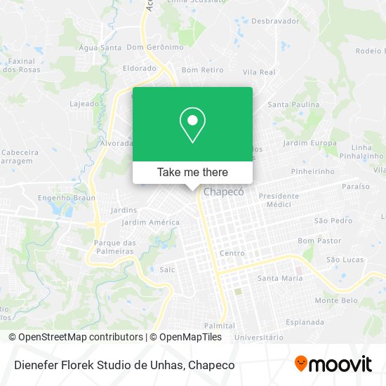 Dienefer Florek Studio de Unhas map