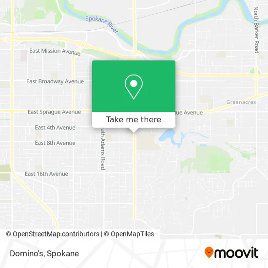 Domino's map