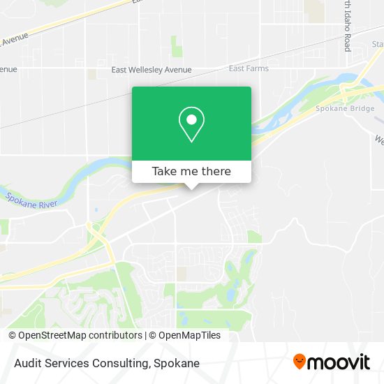Mapa de Audit Services Consulting
