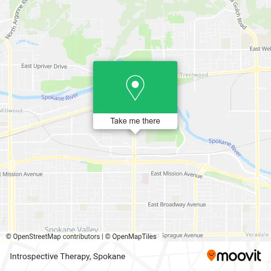 Introspective Therapy map