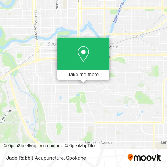 Jade Rabbit Acupuncture map