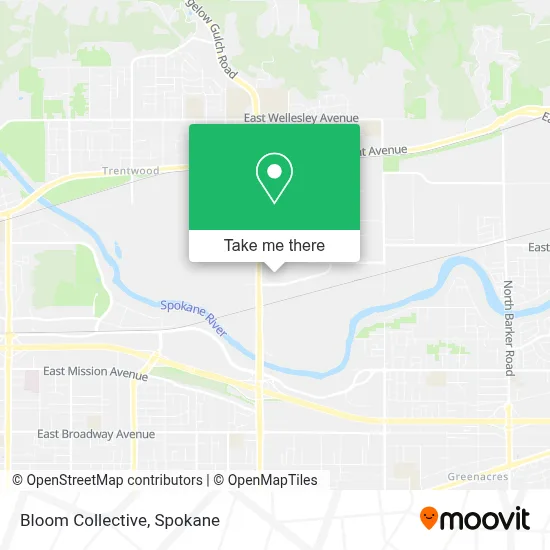 Bloom Collective map