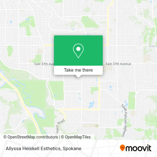 Allyssa Heiskell Esthetics map