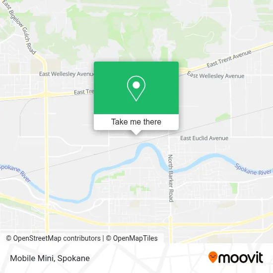 Mobile Mini map