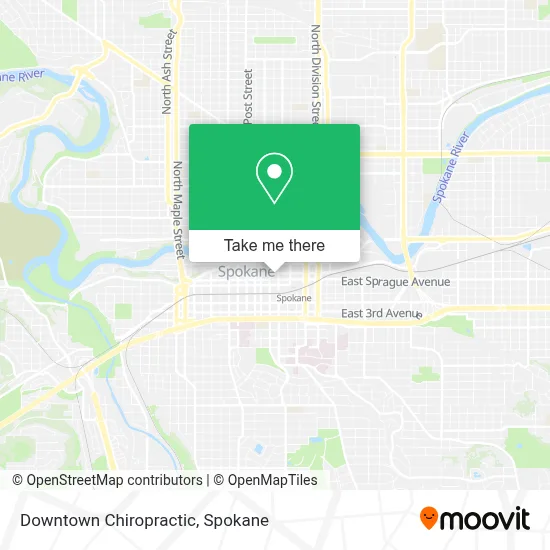 Downtown Chiropractic map