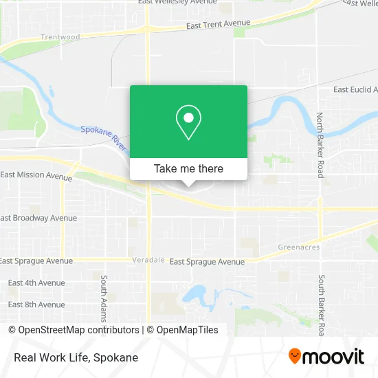Real Work Life map