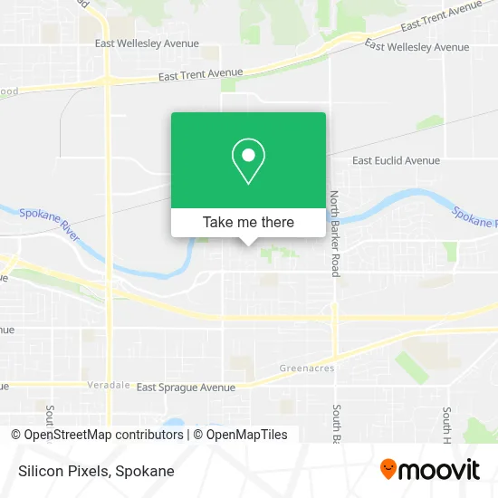 Silicon Pixels map