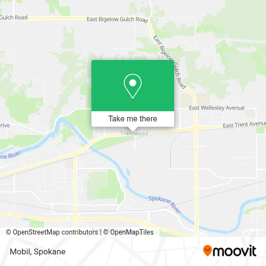 Mobil map