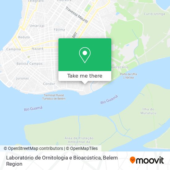 Laboratório de Ornitologia e Bioacústica map